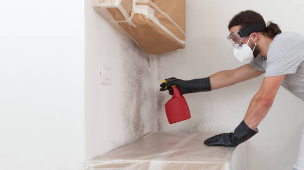 Professional Mold Testing technician working in Central City, IL