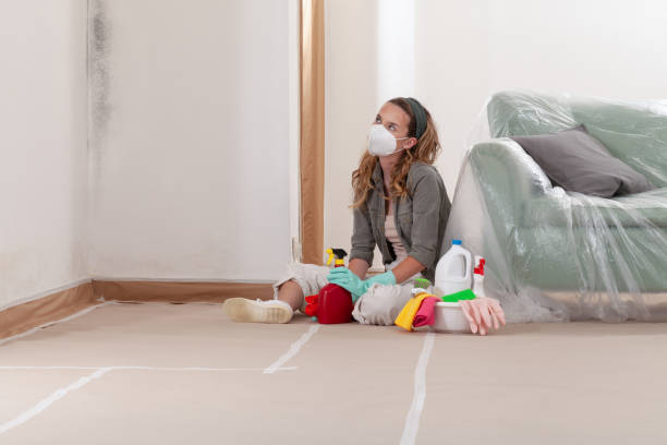 Reliable Mold Testing contractor in Central City, IL by WQB Mold Removal